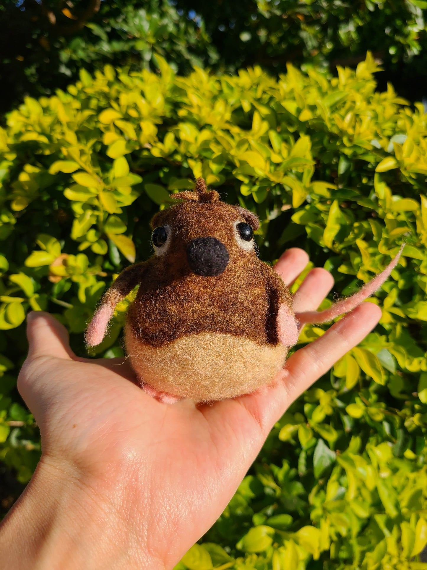 Adopt this Ratencio | Needle Felting Handmade Figurine #1