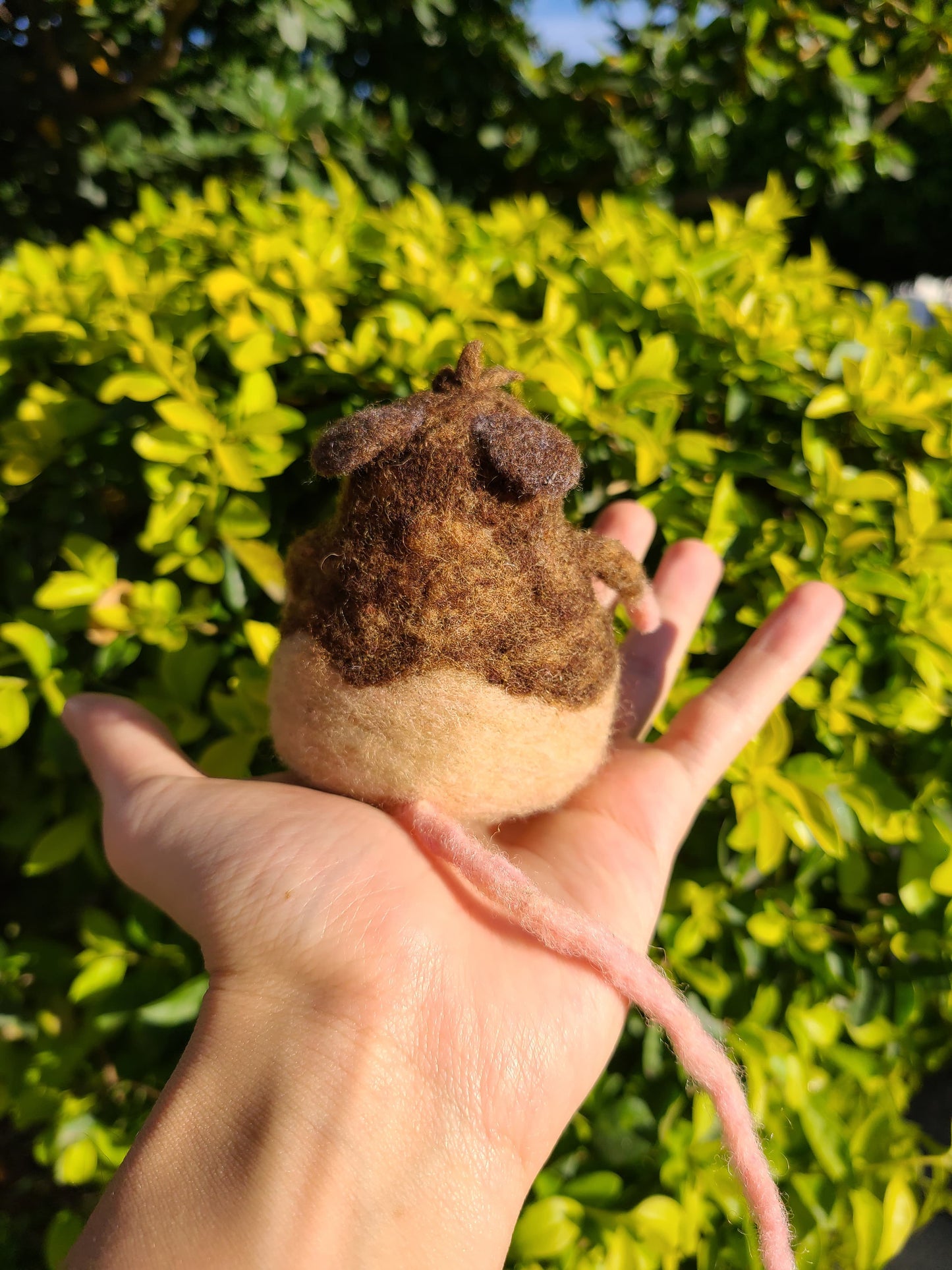 Adopt this Ratencio | Needle Felting Handmade Figurine #1